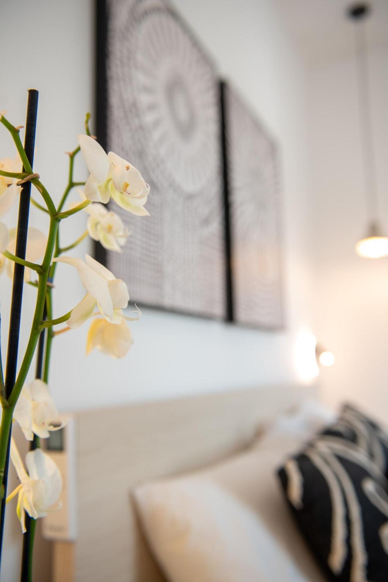 Tiffanys Villas Mykonos Town 외부 사진